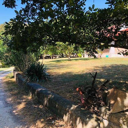 Aligvar Vendeghaz Salfold Dış mekan fotoğraf