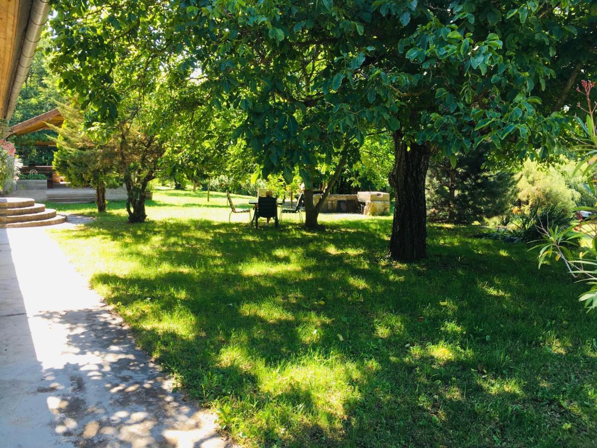 Aligvar Vendeghaz Salfold Dış mekan fotoğraf