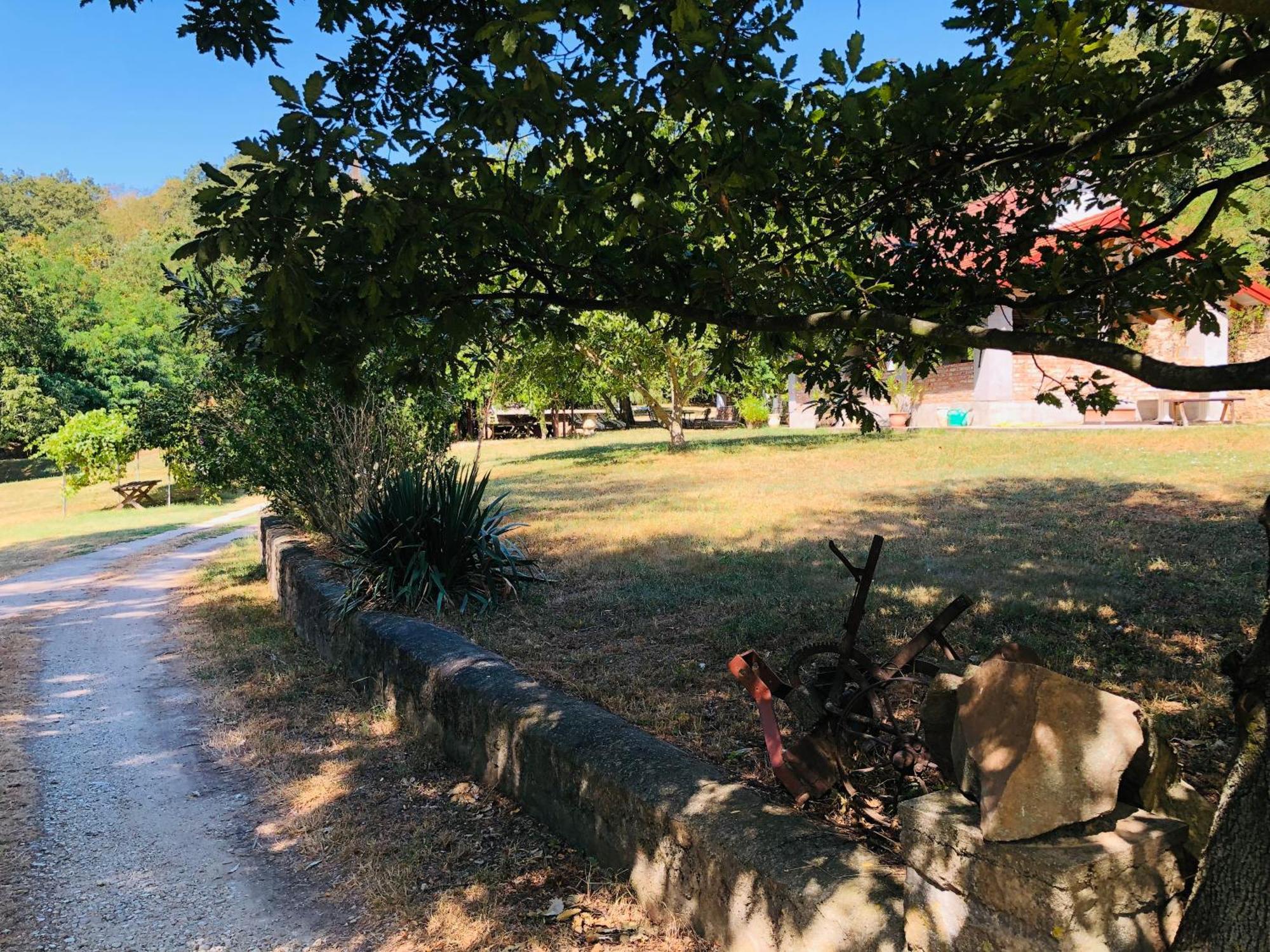 Aligvar Vendeghaz Salfold Dış mekan fotoğraf