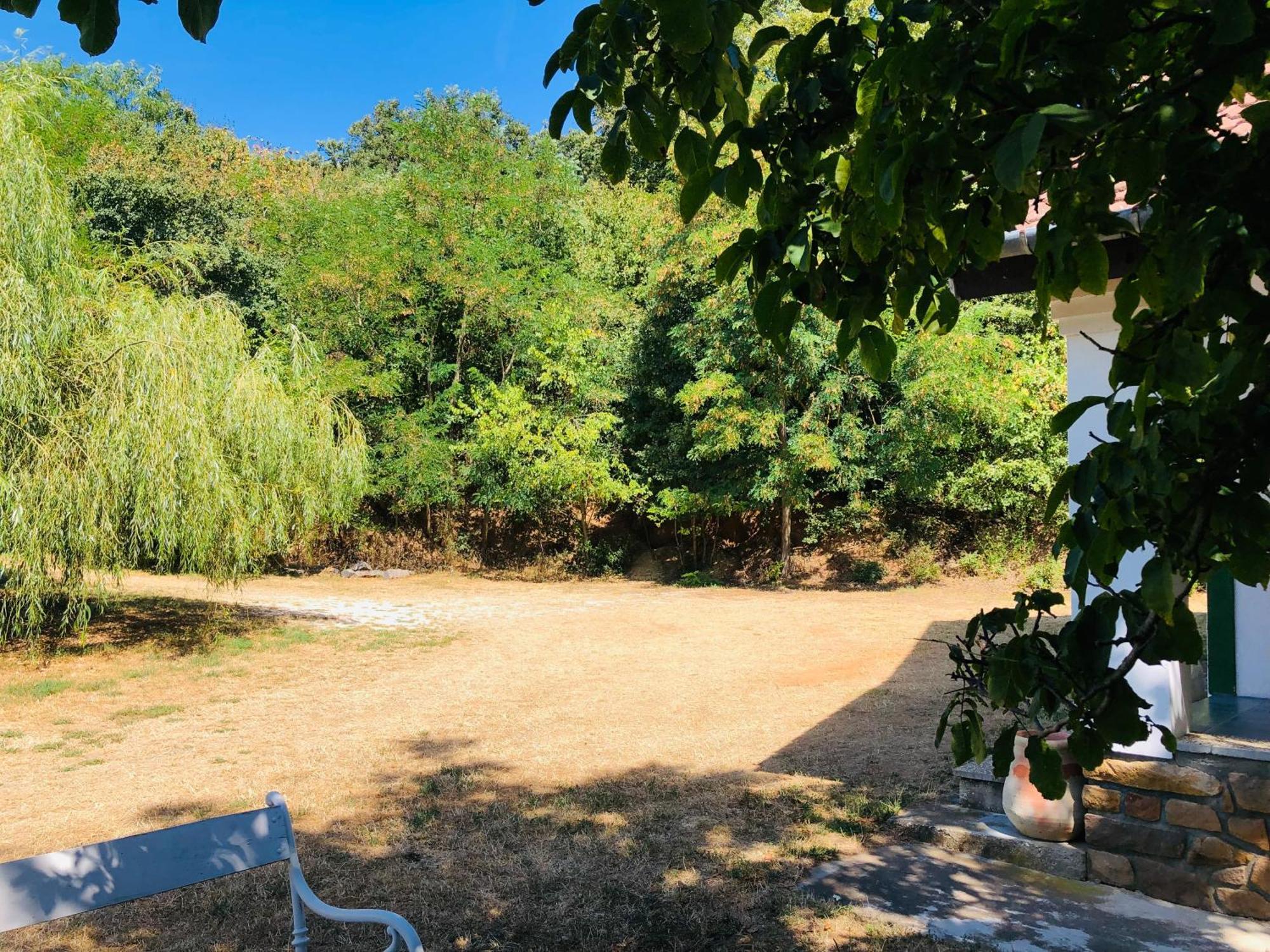 Aligvar Vendeghaz Salfold Dış mekan fotoğraf