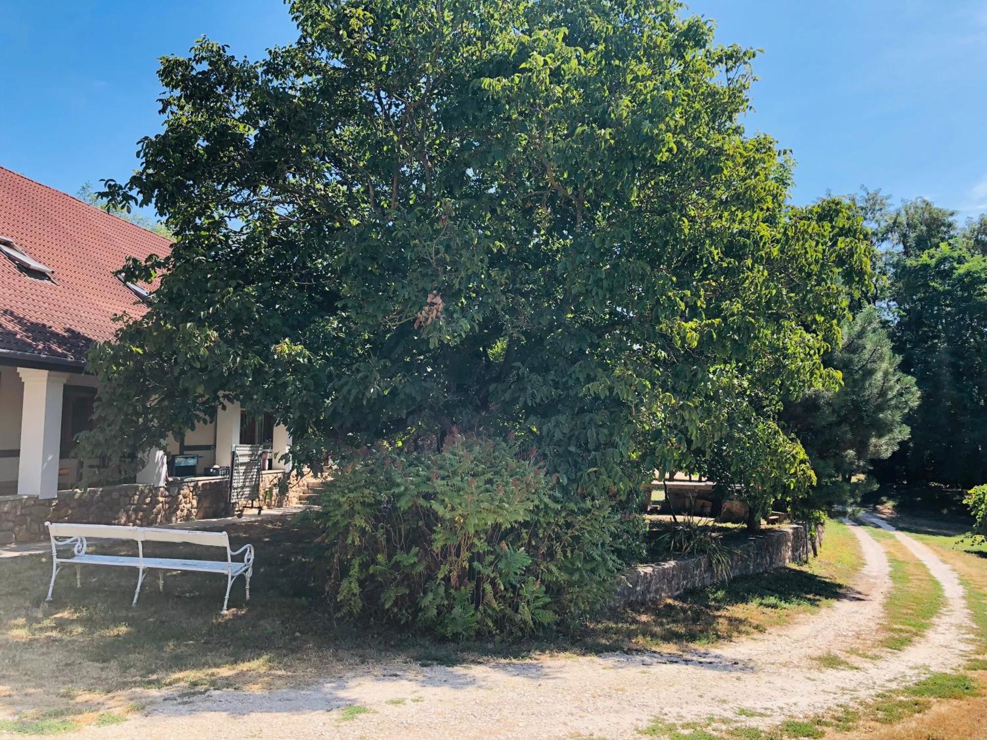 Aligvar Vendeghaz Salfold Dış mekan fotoğraf