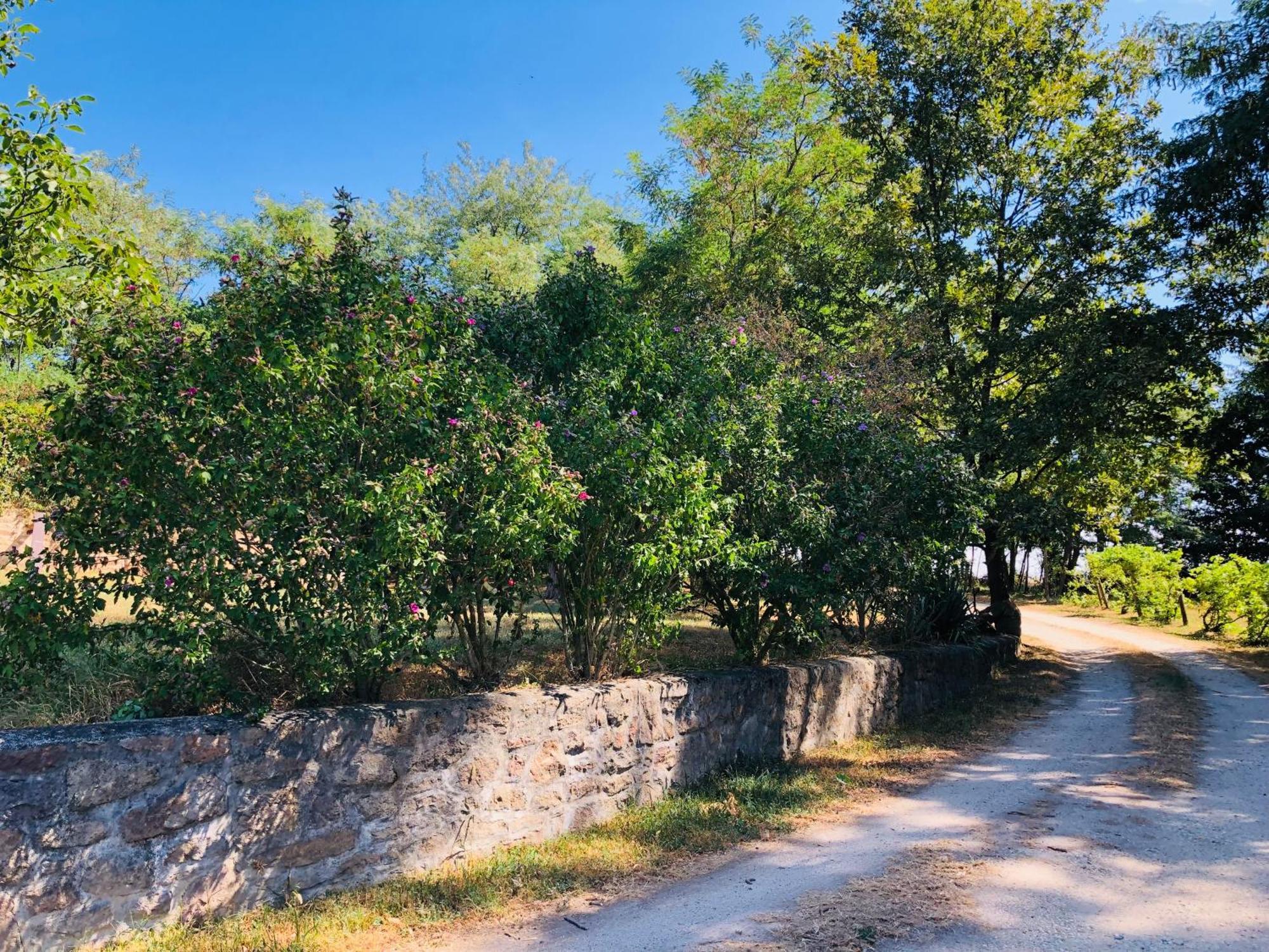 Aligvar Vendeghaz Salfold Dış mekan fotoğraf