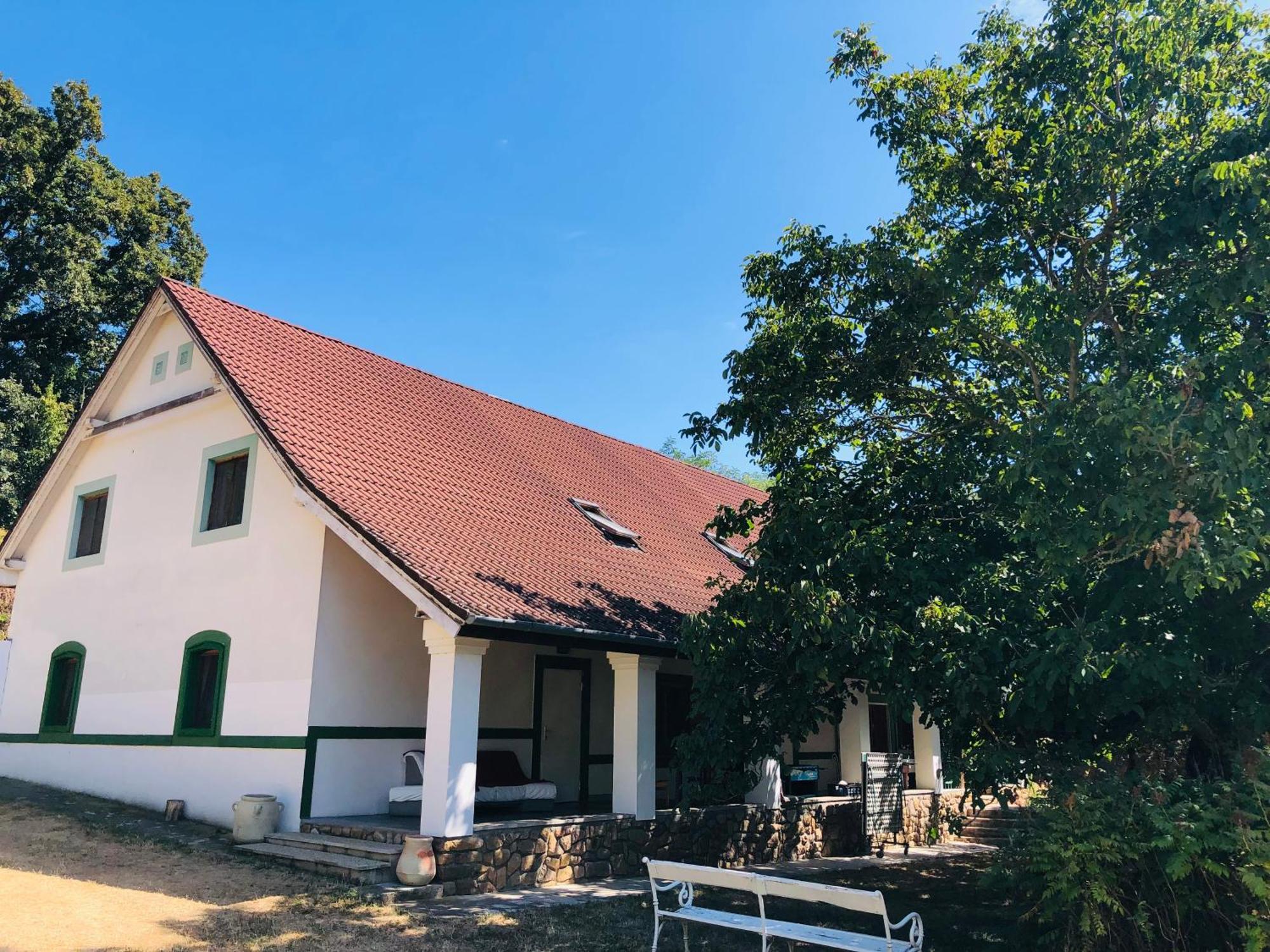 Aligvar Vendeghaz Salfold Dış mekan fotoğraf